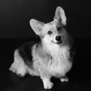 Fundraising Page: Chloe Stewart